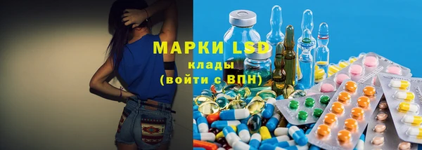 стафф Алзамай