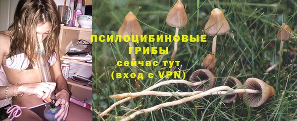 соль курить ск Алексеевка