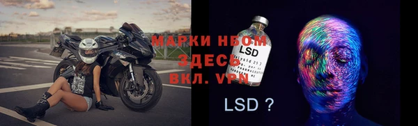 стафф Алзамай