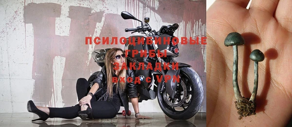 стафф Алзамай