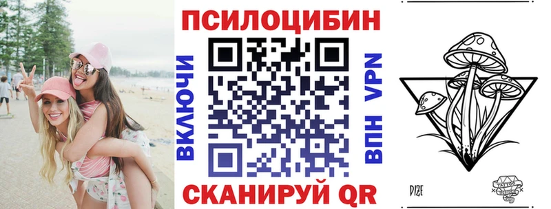 Псилоцибиновые грибы Psilocybe Андреаполь