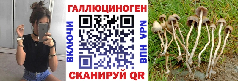 Галлюциногенные грибы Cubensis  сколько стоит  Андреаполь 